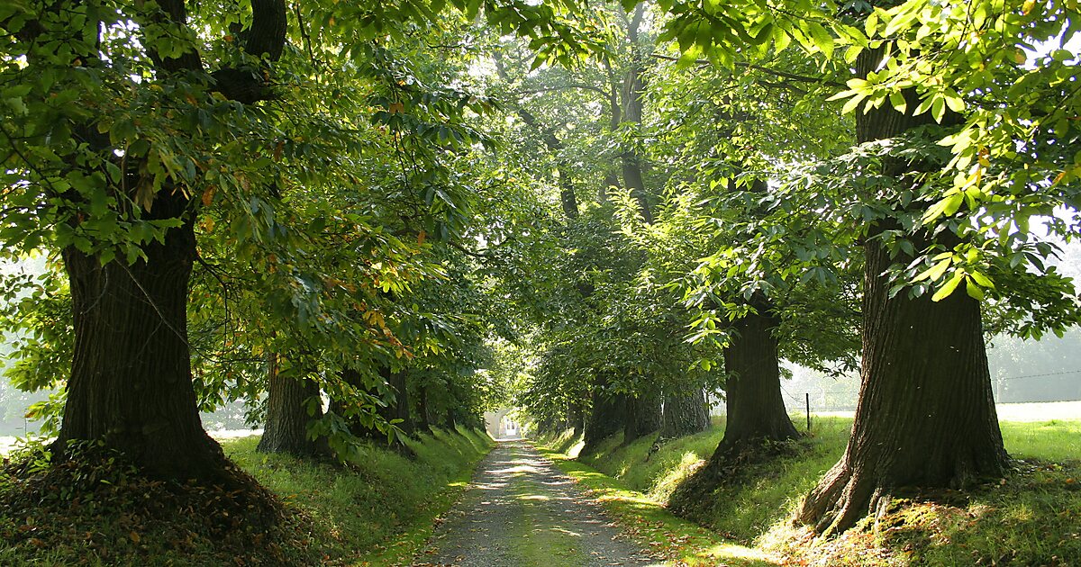 Kasteel van Modave in Modave België Belgique Belgien Sygic Travel