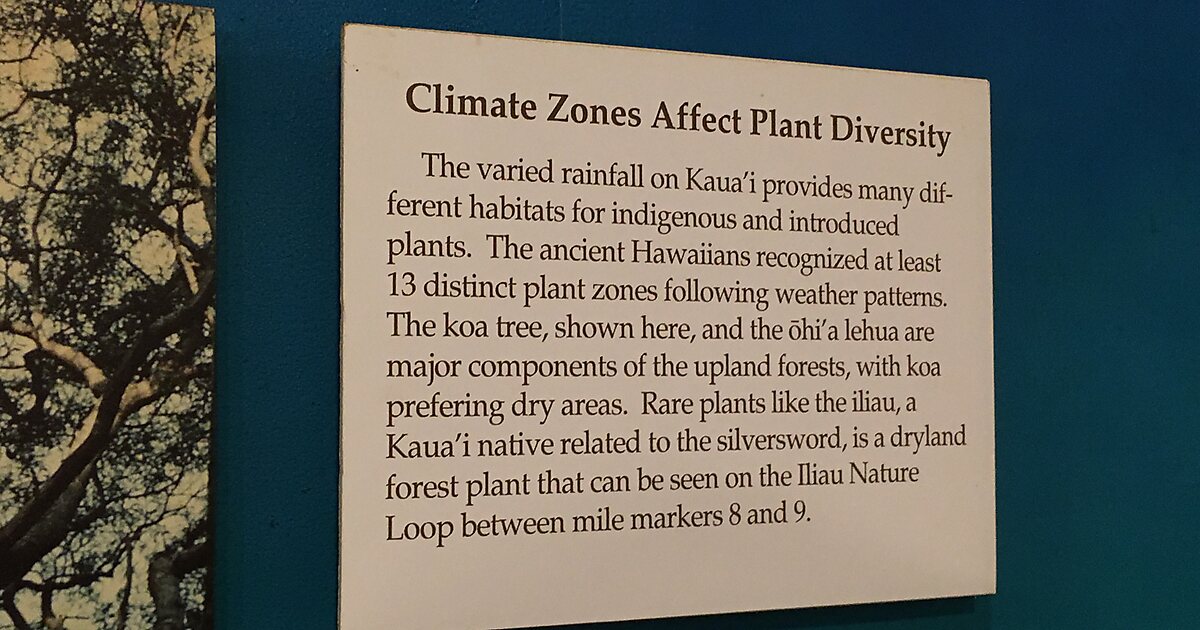 Kokee Natural History Museum in Hawaii, United States Sygic Travel