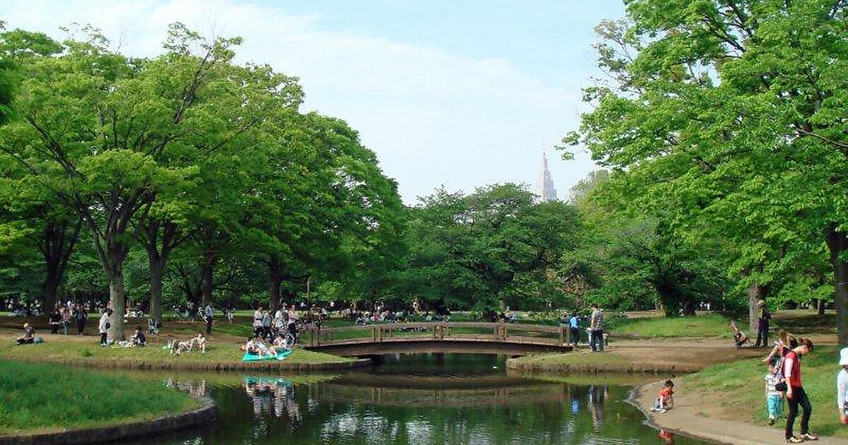 Yoyogi Park In Shibuya, Japan 