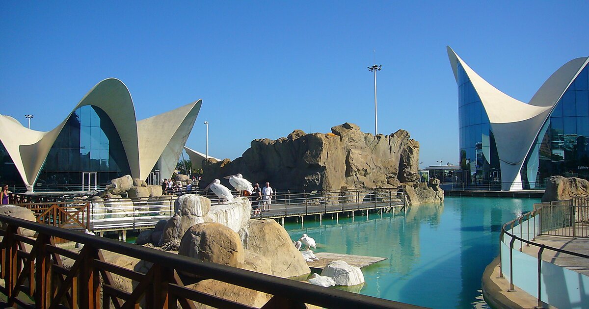 Oceanogràfic of Valencia in Valencia, Spain | Tripomatic