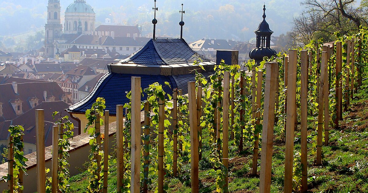 St. Wenceslas' Vineyard in Malá Strana, Prague, Czechia Sygic Travel