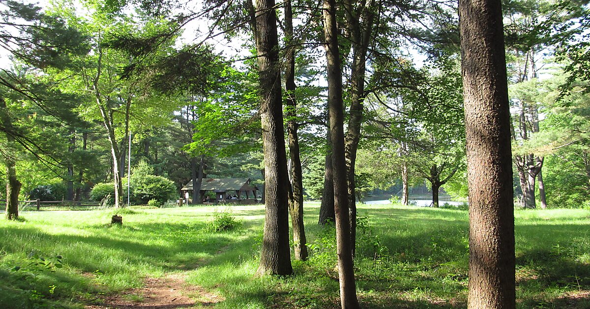 Brimfield State Forest in Brimfield, USA Sygic Travel