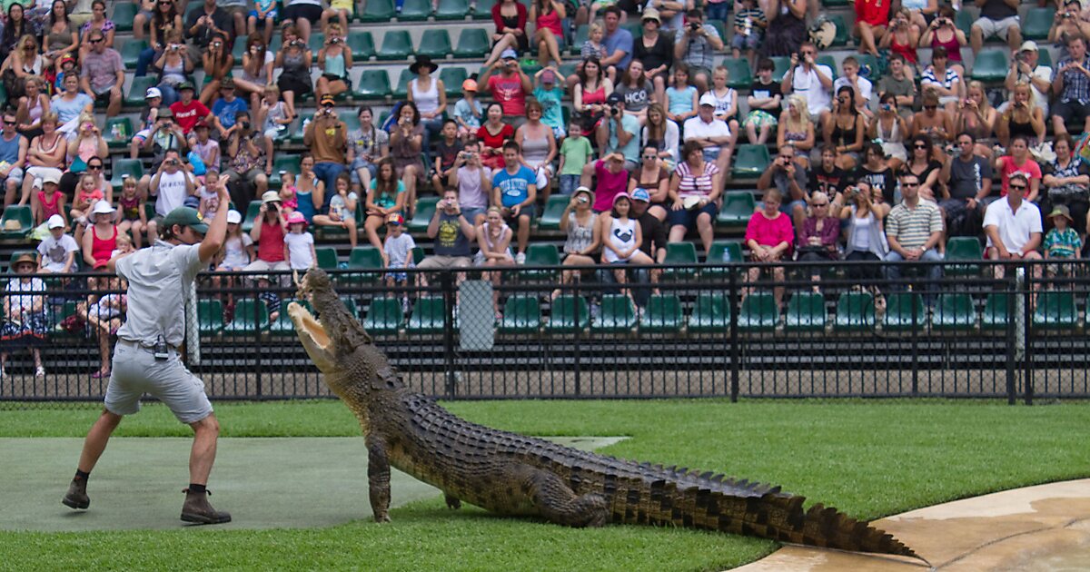 Australia Zoo in Sunshine Coast, Queensland, Australia | Tripomatic