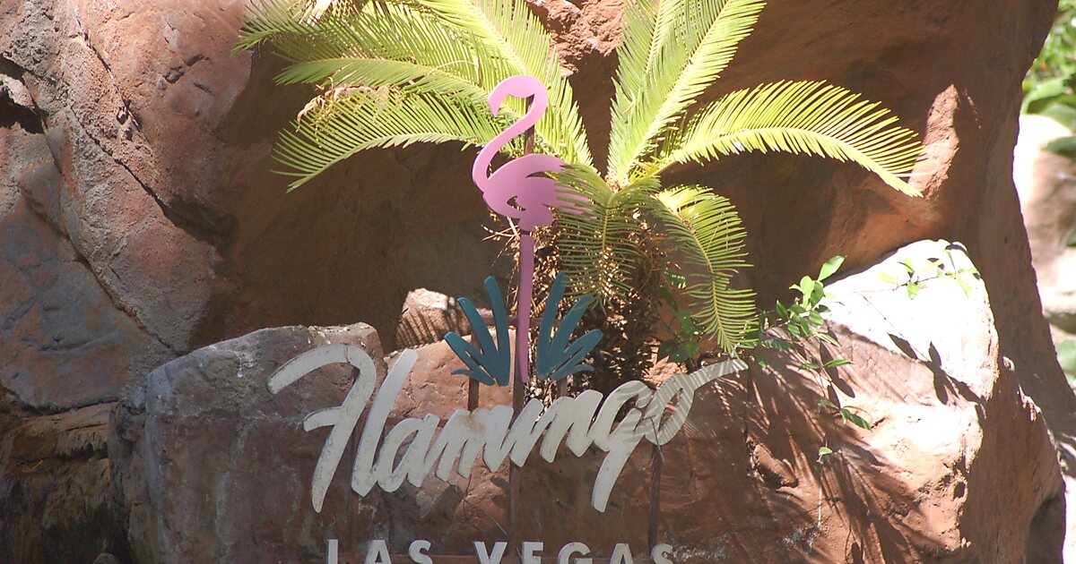Flamingo Las Vegas in Paradise, Nevada, United States | Tripomatic