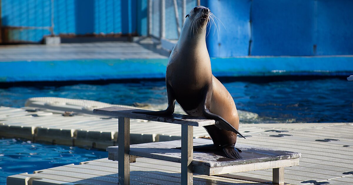 Barcelona Zoo in Barcelona, Spain | Sygic Travel