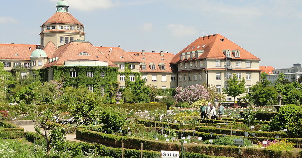 Botanical Garden Munich-Nymphenburg - Wikipedia