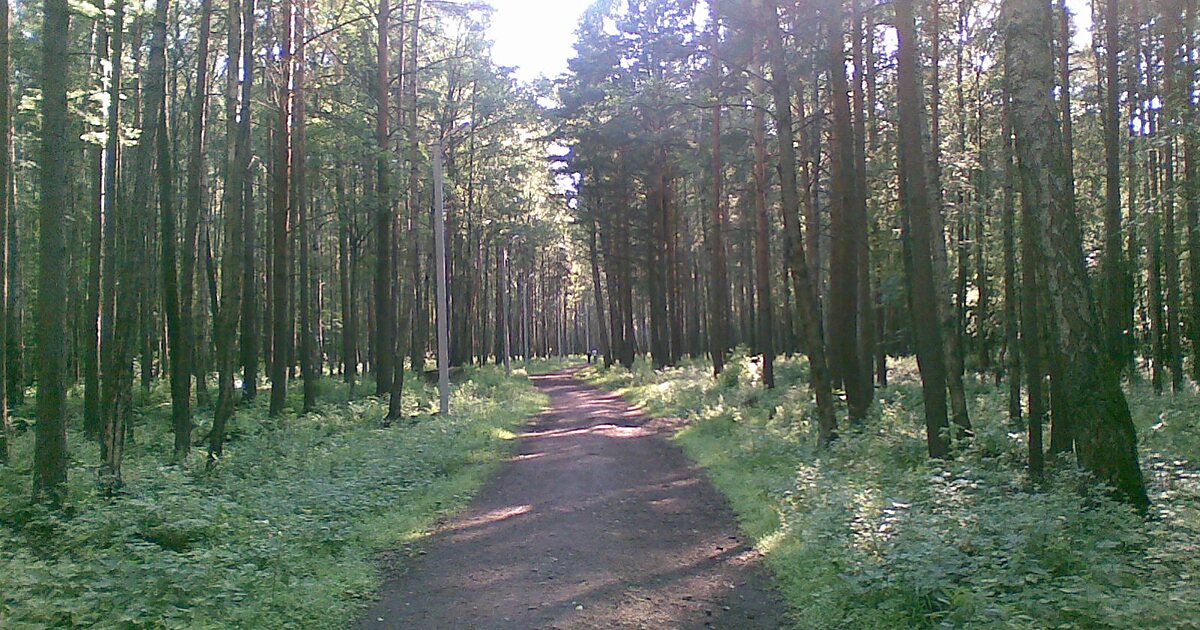 Пискаревский парк фото