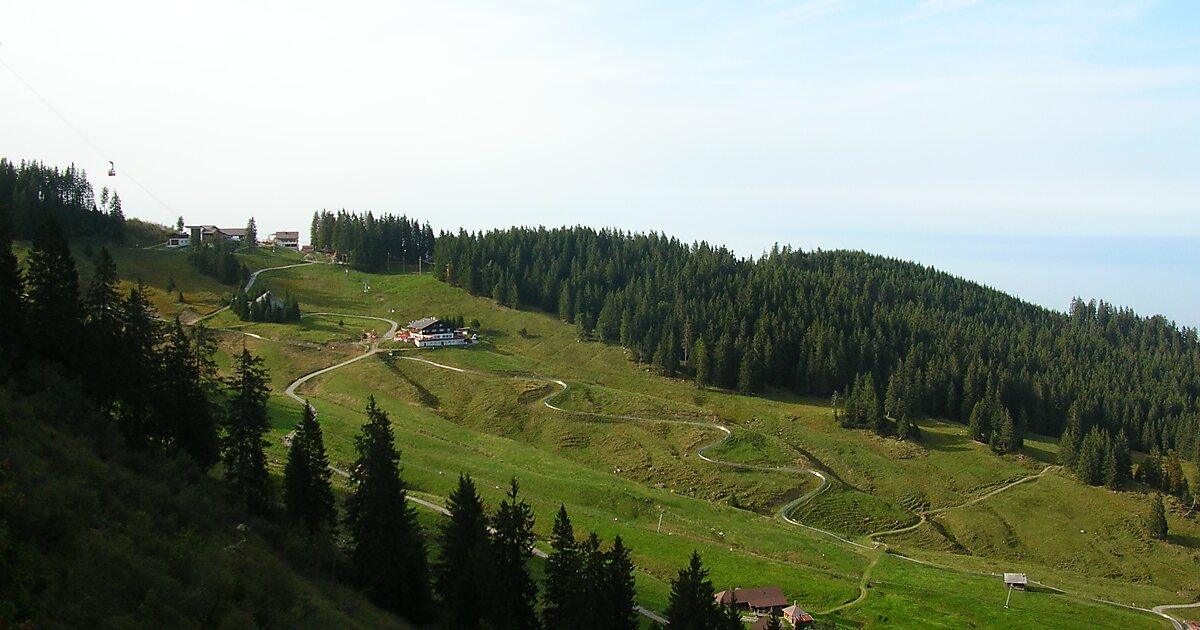 Toboggan Run upon Fräkmüntegg in Lucerne Sygic Travel