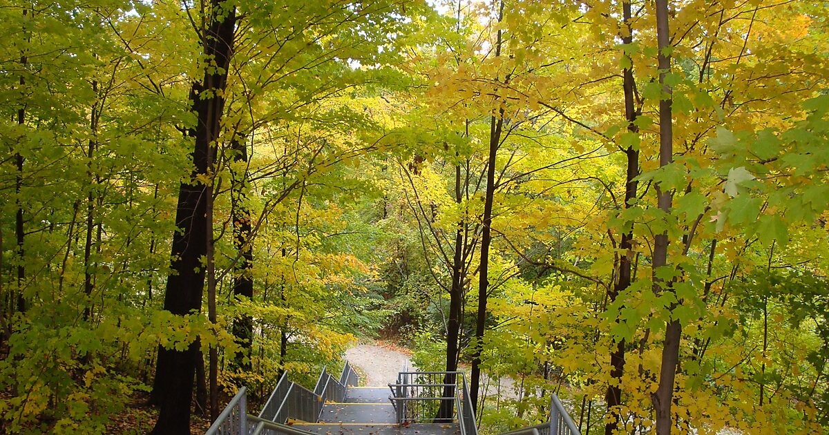 Centennial Park in Etobicoke, Toronto, Canada | Sygic Travel