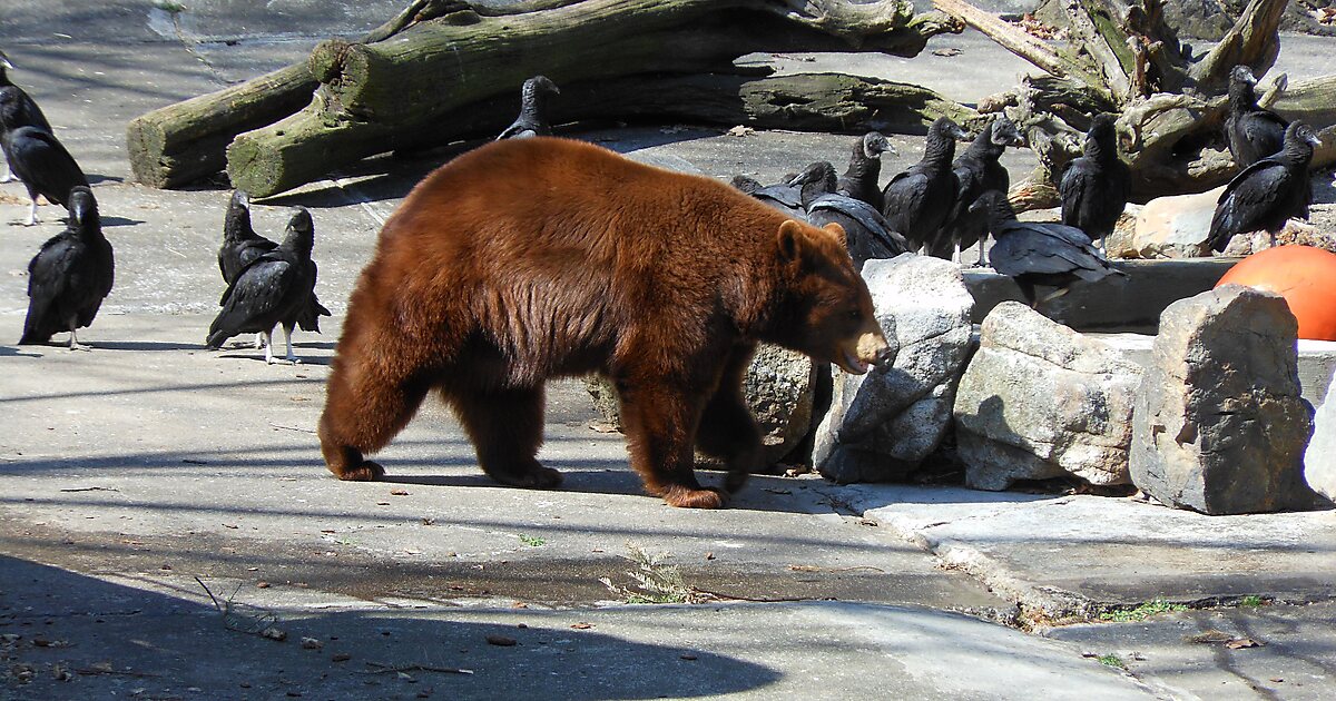 Bear Mountain State Park in New York, USA Sygic Travel