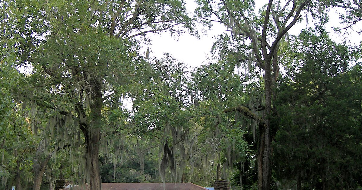 Buescher State Park in Texas, United States | Sygic Travel