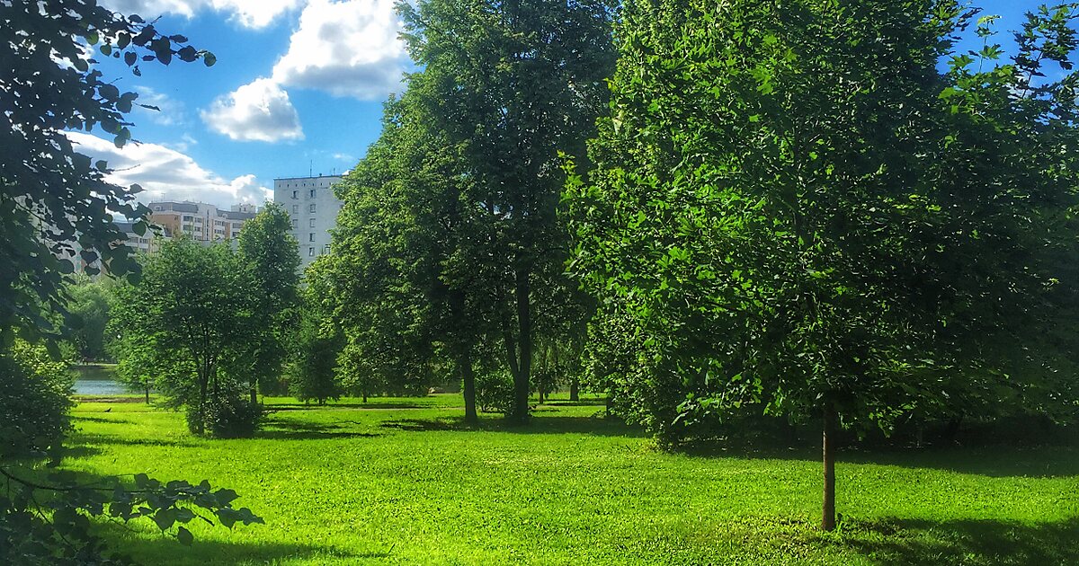 Дмитровский парк. Дмитровский парк Москва. Парк Дмитровский район. Парк на Дмитровке. Дмитровский сквер.