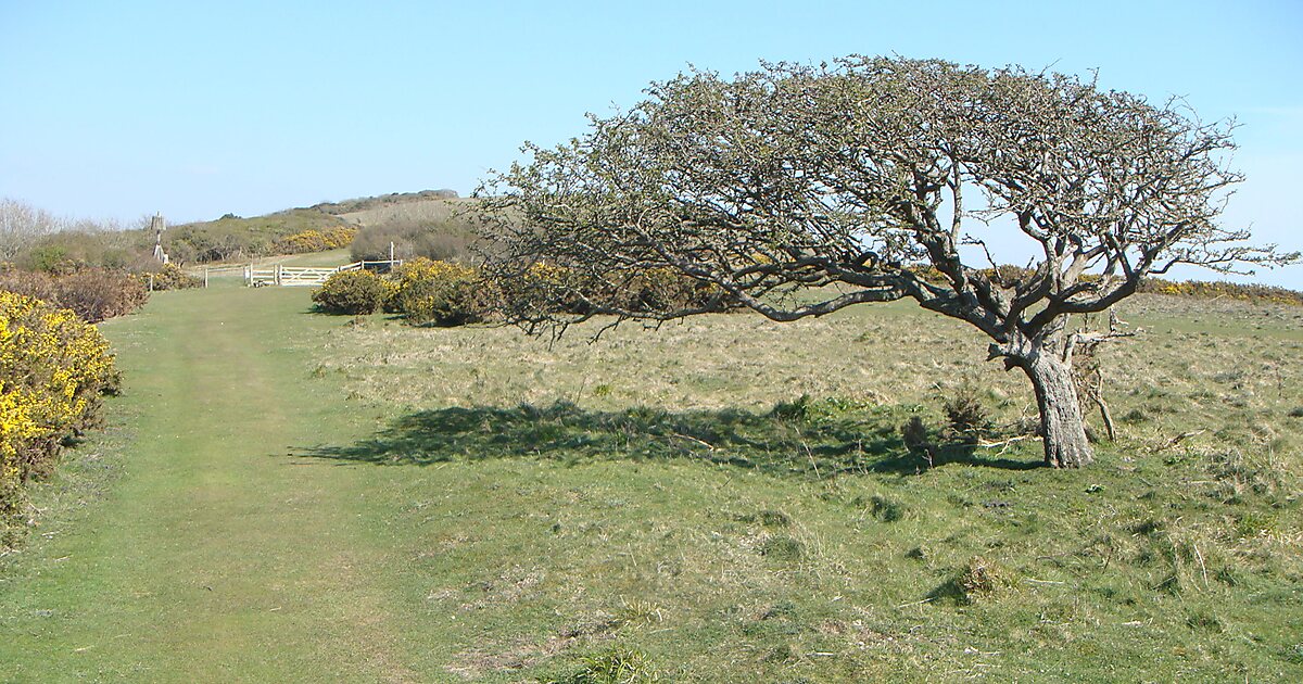 Tennyson Down in Totland, UK | Tripomatic