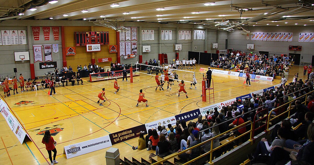 Des sport. Павильон физкультура и спорт. Павильоне «физкультура и спорт» фото 2022.