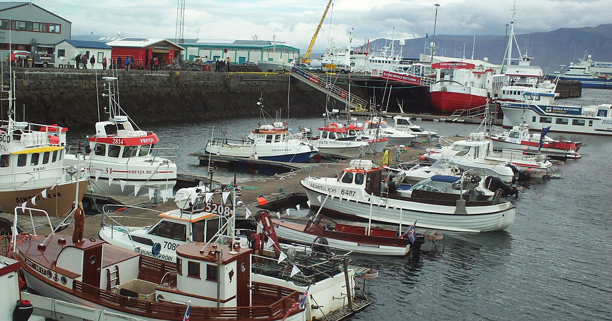 Reykjavík Old Harbour in Vesturbær, Reykjavík, Iceland | Tripomatic