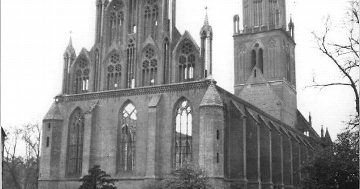 jobbörse neubrandenburg