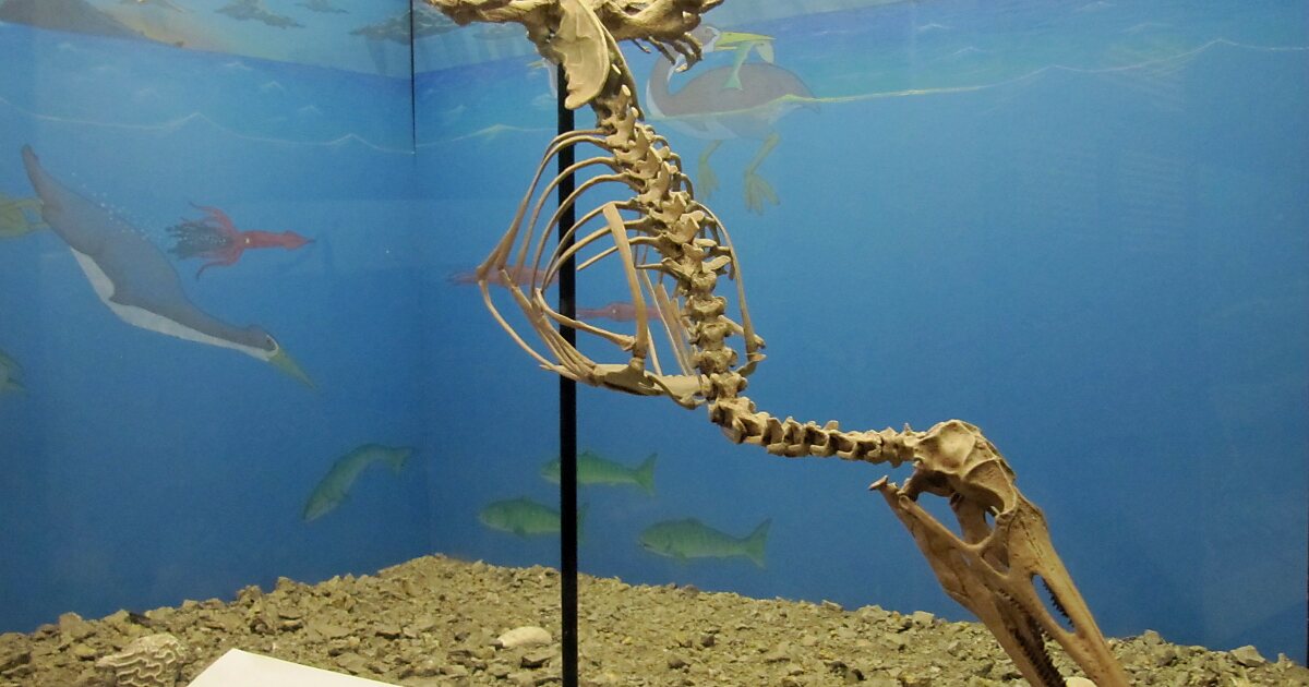 Canadian Fossil Discovery Centre in Morden, Manitoba, Canada Sygic Travel