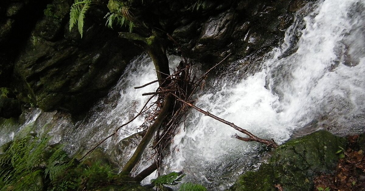 Водопады тест. Водопады Петроуэ.