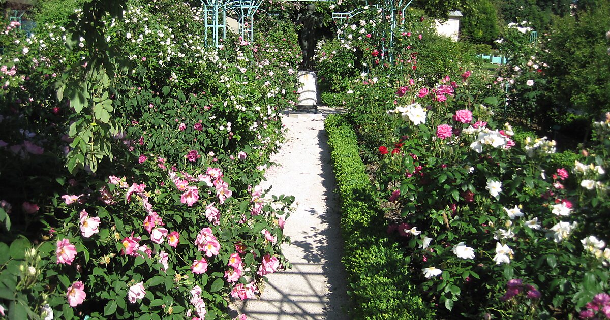 Arquebuse Botanical Garden In Dijon Sygic Travel