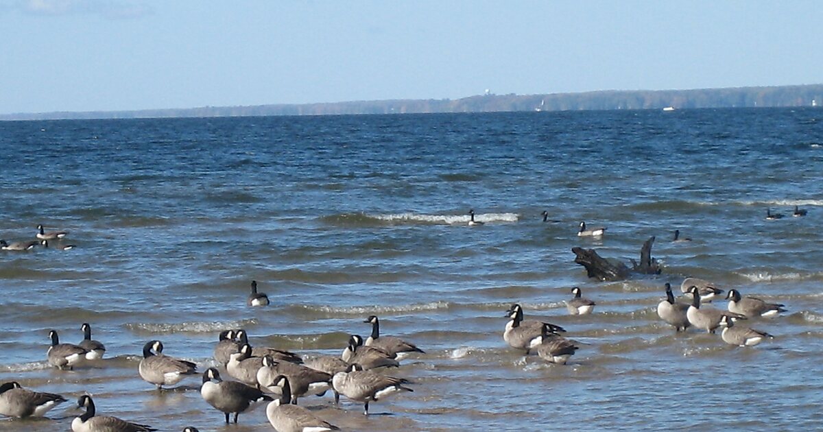 Verona Beach State Park in New York, USA Sygic Travel