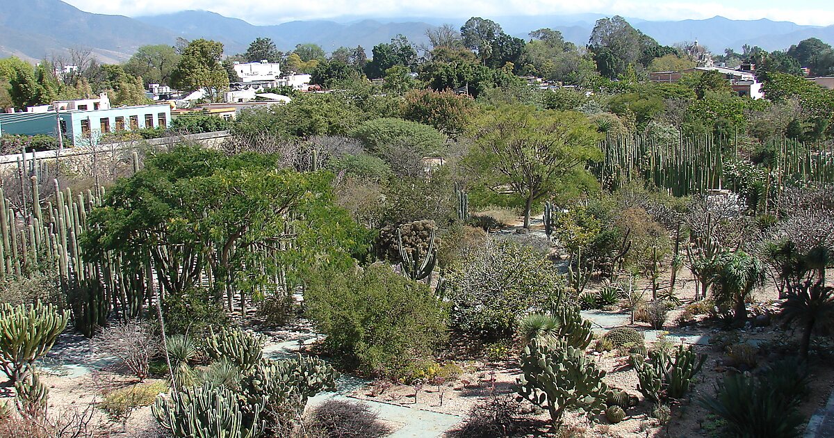 Jardín Etnobotánico de Oaxaca in Oaxaca City, Mexiko Sygic Travel