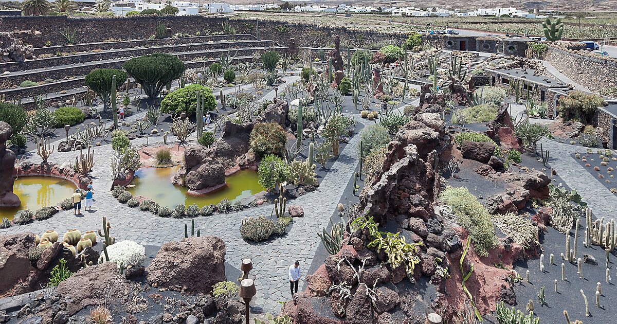 The Cactus Garden in Teguise, Spain | Tripomatic