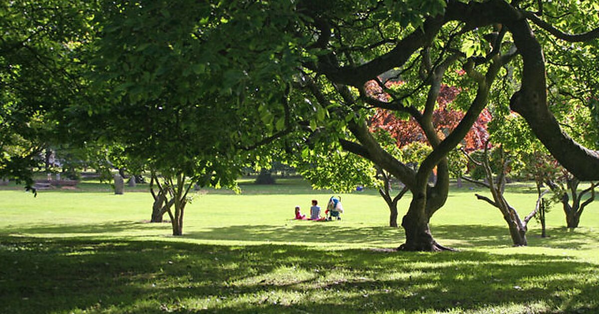 Bute Park Cardiff. Парки Кардиффа. Парк бьют. Парк бьют в Уэльсе.