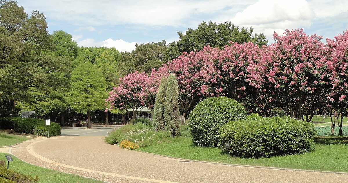 сад контакты. цветы в шекспировском саду. сады англии миксбордеры. апл хилл крылатское дворик. сад контакты.