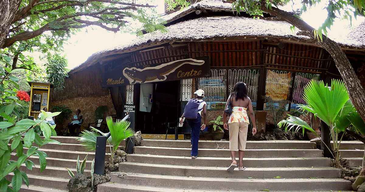 Mamba Village in Mombasa, Kenya | Tripomatic