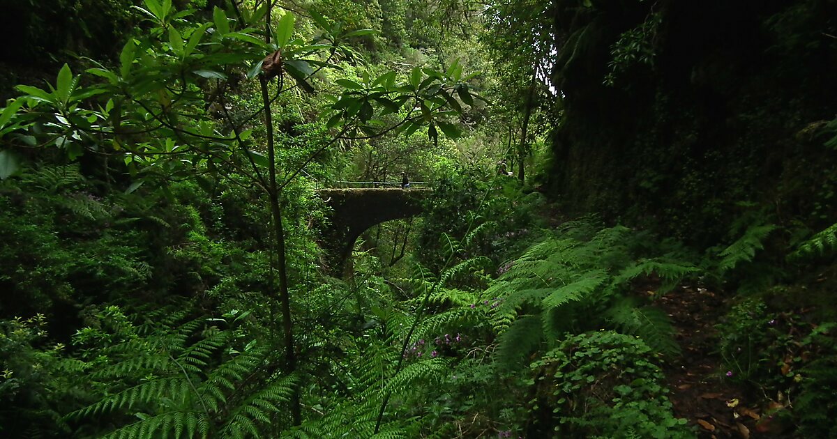 Poland’s Journalists: