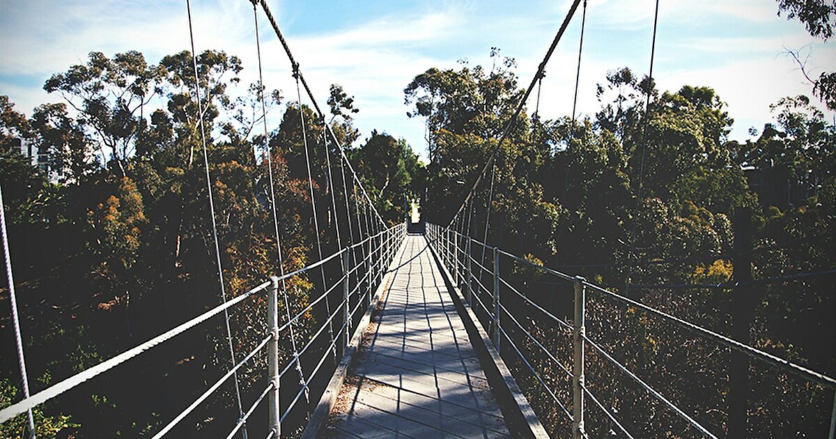 Spruce Street Suspension Bridge in San Diego Sygic Travel