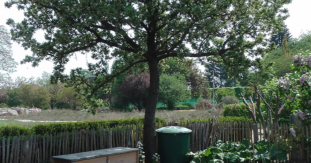 Botanischer Garten der Johannes GutenbergUniversität Mainz in Mainz