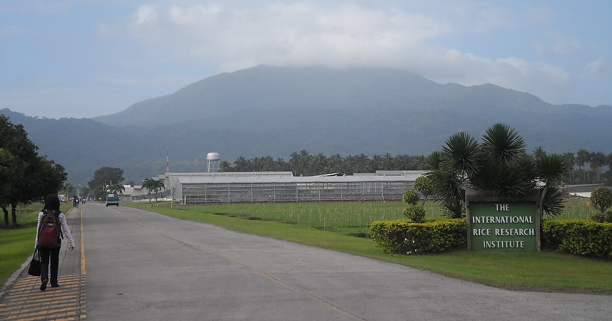international-rice-research-institute-in-philippines-maritime-boundary