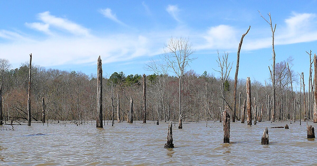 Jordan Lake in North Carolina, United States Sygic Travel