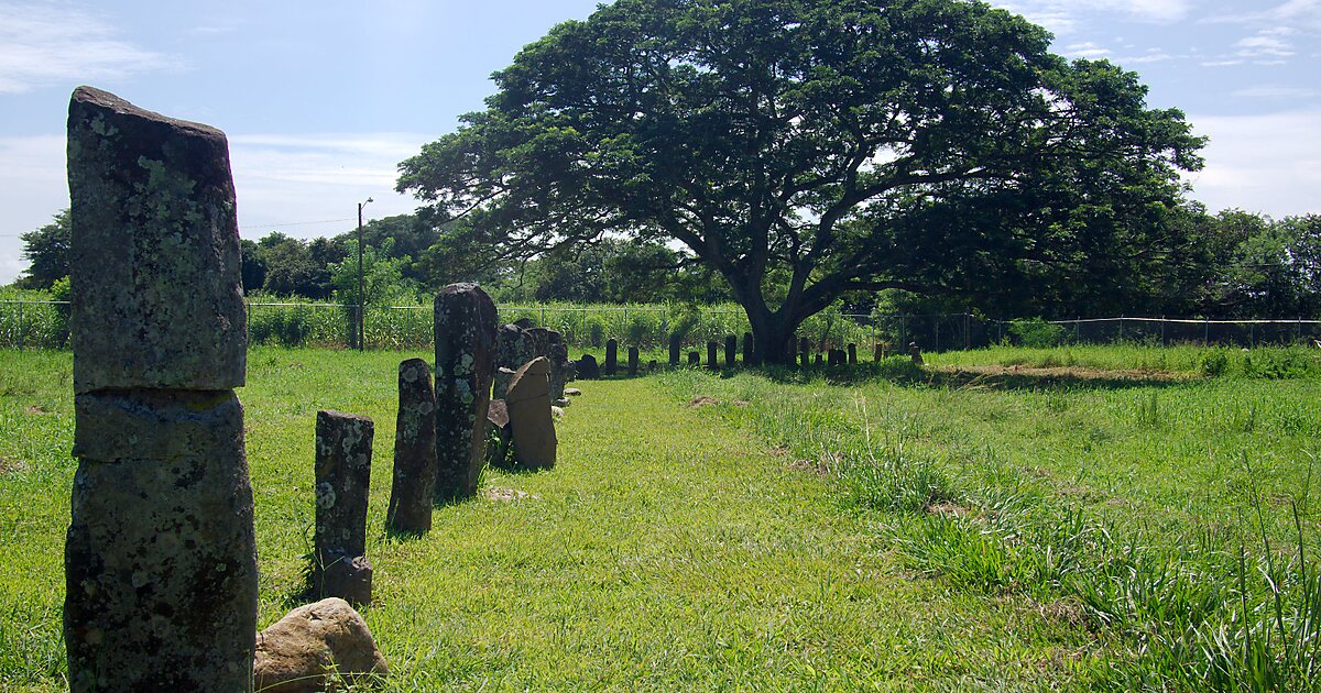 Hili archaeological park. Кано, древний, парк. Дуб Вьехо.