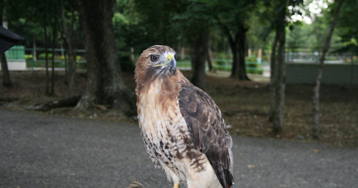 Parque y Zoológico Nacional de Santo Domingo en Santo Domingo