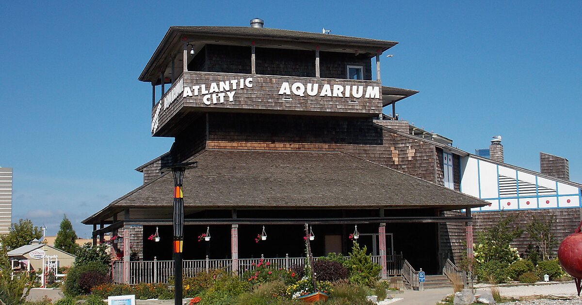 Atlantic City Aquarium in Inlet, Atlantic City, New Jersey, United