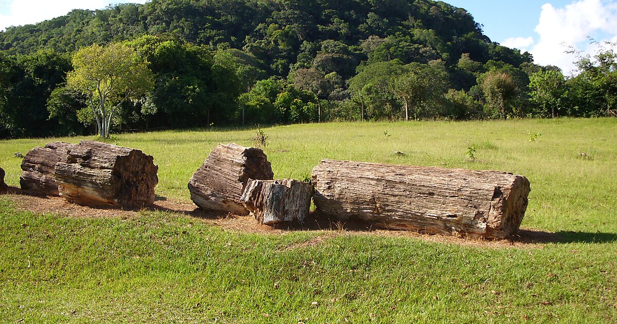 Искусственная трава png. Матов сад. Анекдоты про воспитателей детского сада смешные с матом. Матов сад. Ребенок матерится анекдот.