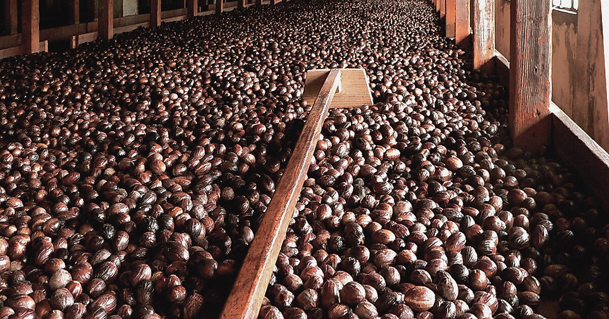Gouyave Nutmeg Processing Station in Pinar del Río, Grenada Sygic Travel