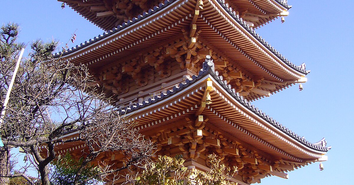 日本的泉南市 Tripomatic