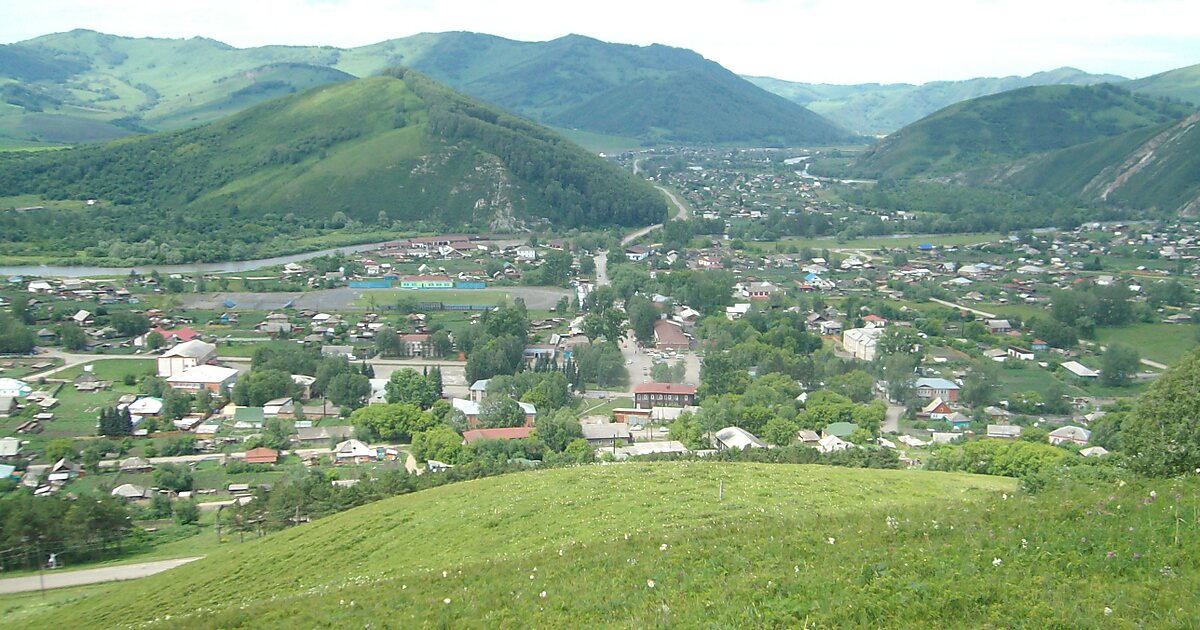 Деревня елей Алтайский край