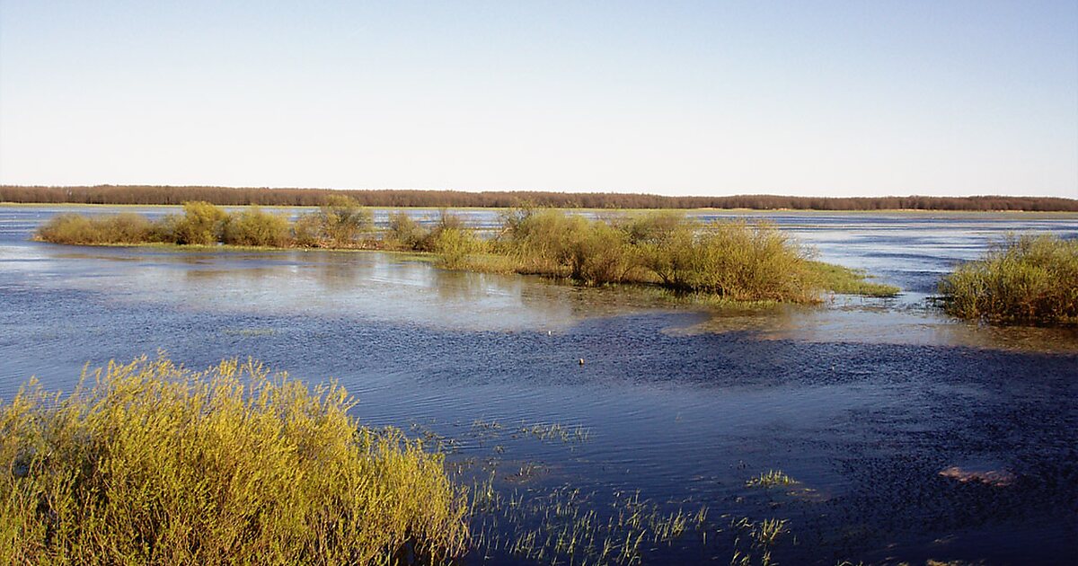 Бебжанских болот Польша