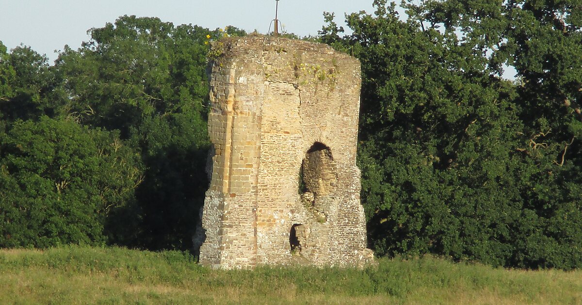Knepp Castle in Horsham, UK Sygic Travel