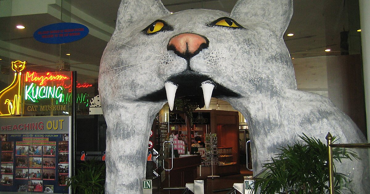Cat Museum in Kuching, Malaysia  Sygic Travel