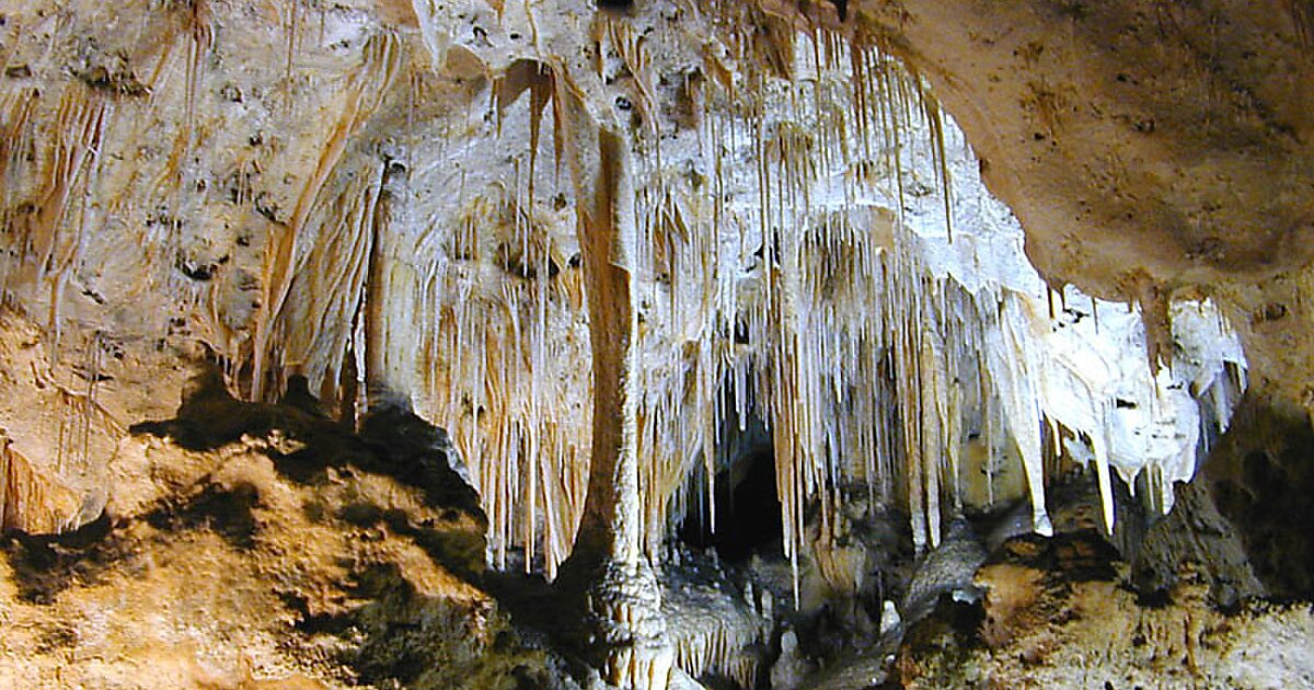 Parc national des grottes de Carlsbad - Nouveau-Mexique | Tripomatic