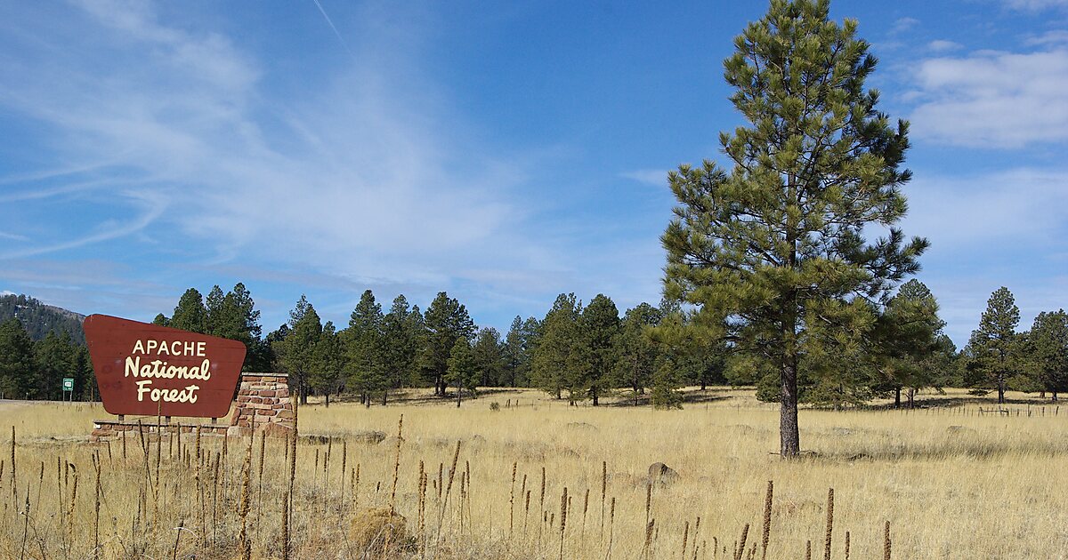 ApacheSitgreaves National Forest in Arizona, USA Sygic Travel