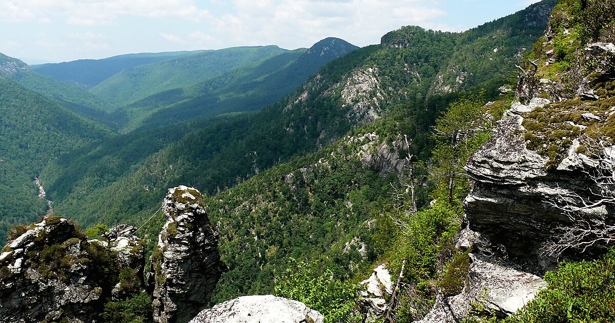Pisgah National Forest in North Carolina, USA Sygic Travel