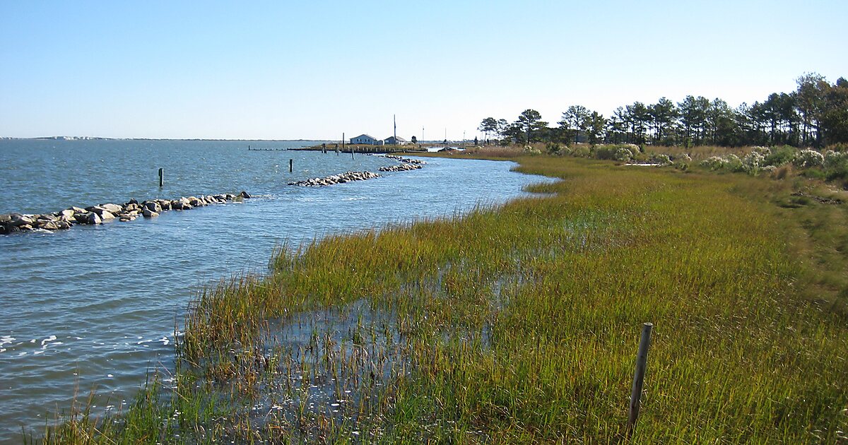 Holts Landing State Park in Delaware | Sygic Travel