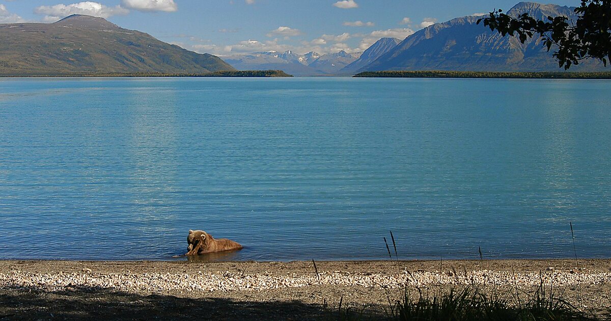 Naknek Lake in Alaska | Tripomatic