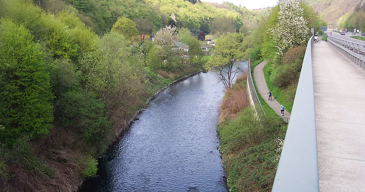 Приток рейна сканворд. Иль (приток Рейна). Левый приток Рейна. Приток Рейна в Германии 4. Река Вуппер d ktdthreotyt.